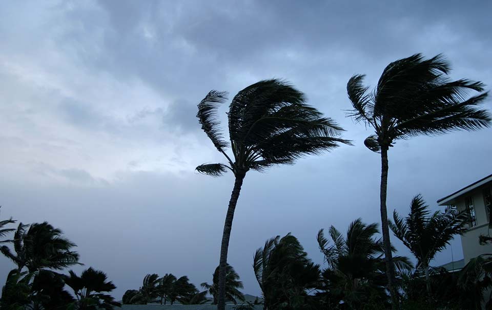 Hurricane Survival Guide What To Do During And After The Storm